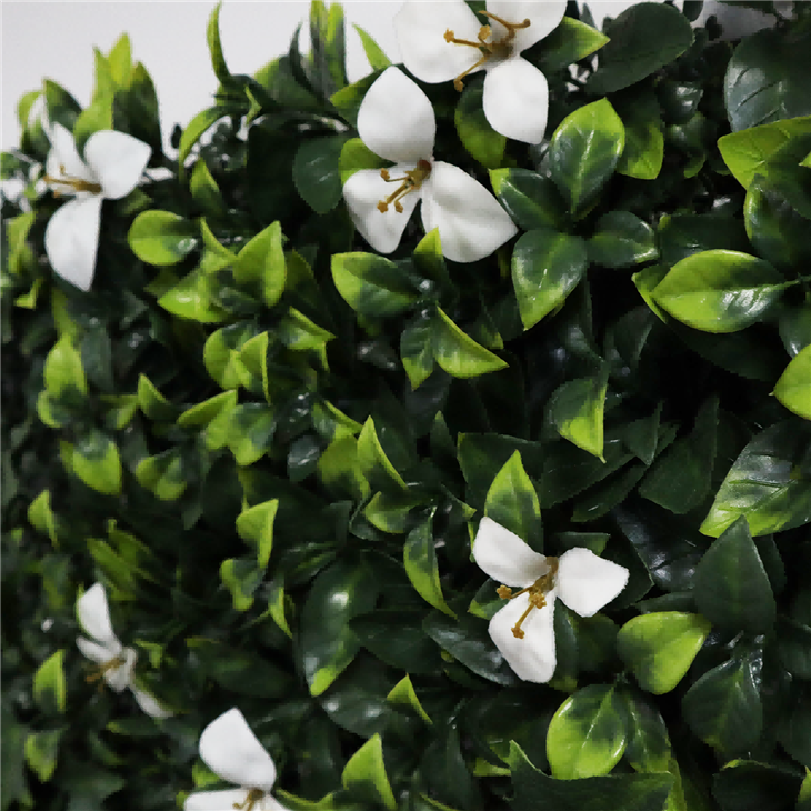 Vertical Plant Wall
