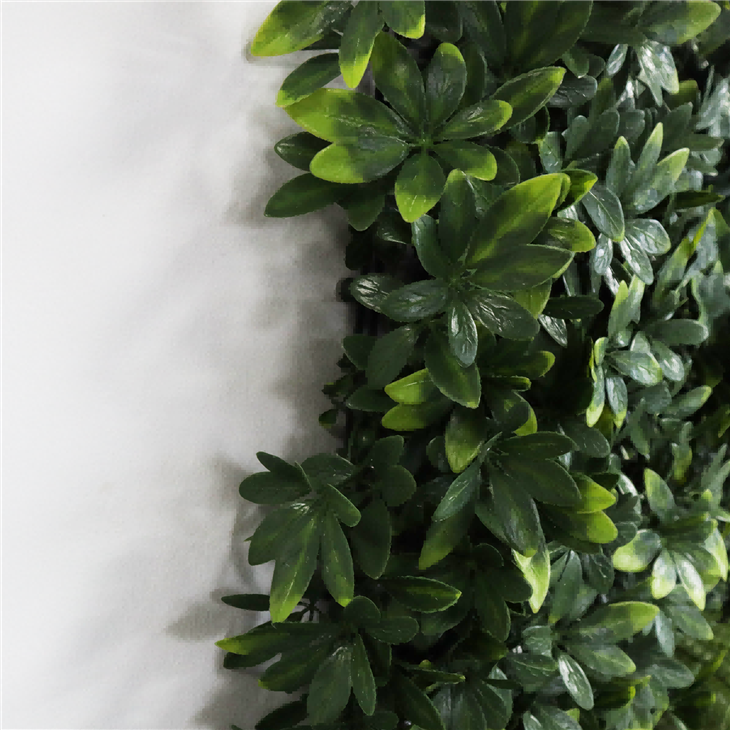 Vertical Plant Wall