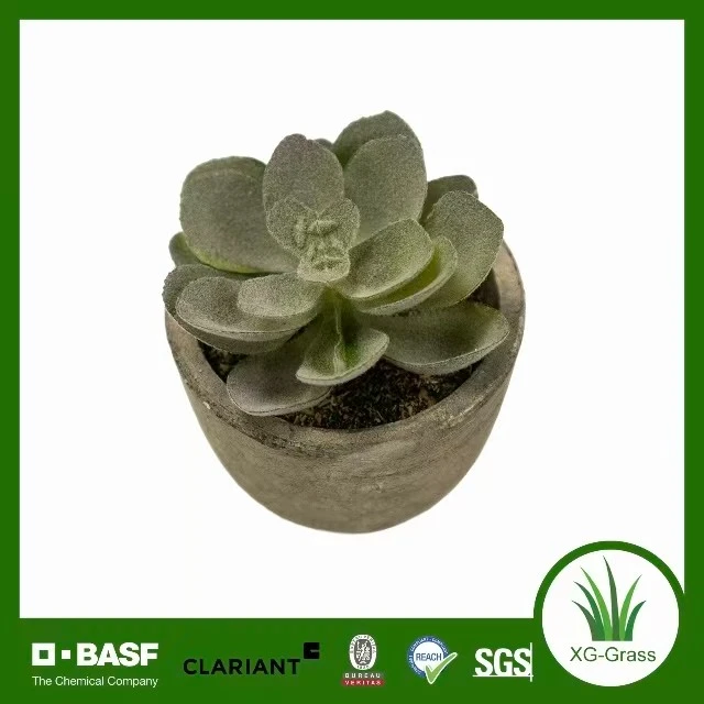 Mini art succulent réaliste