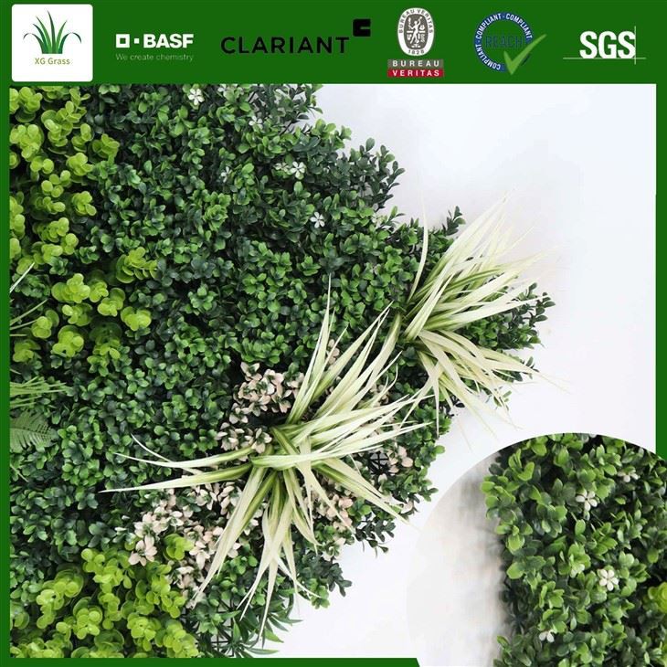Présentoir mural pour plantes d'intérieur