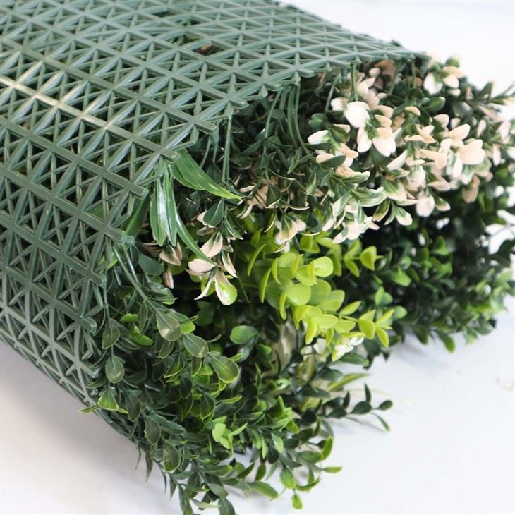 Indoor Plant Wall Display
