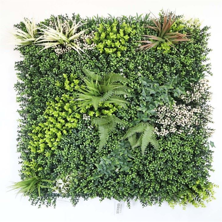 Indoor Plant Wall Display