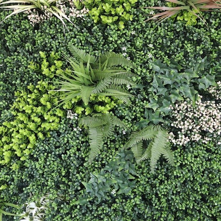 Indoor Plant Wall Display