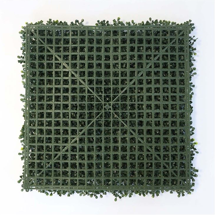 Indoor Wall Greenery
