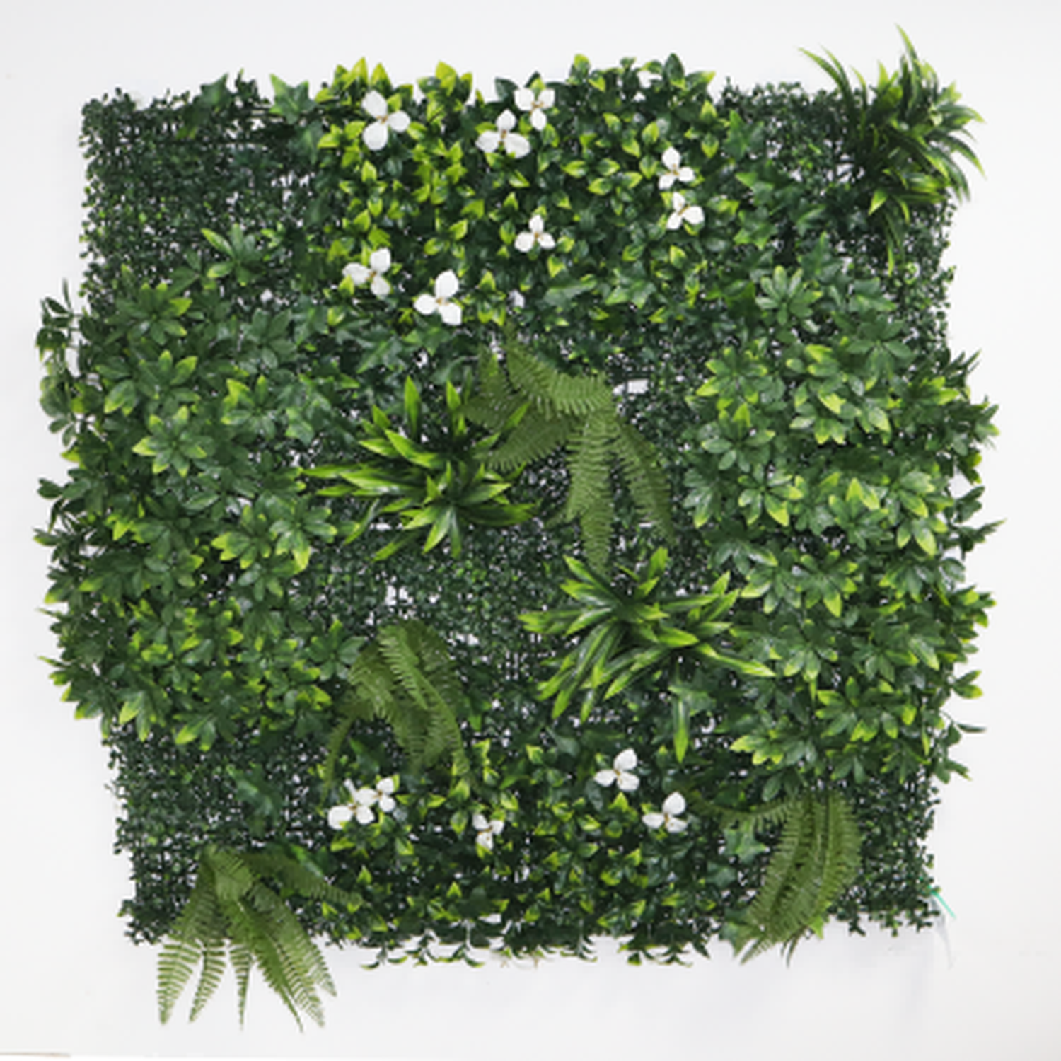 vertical indoor garden wall vertical indoor garden wall
