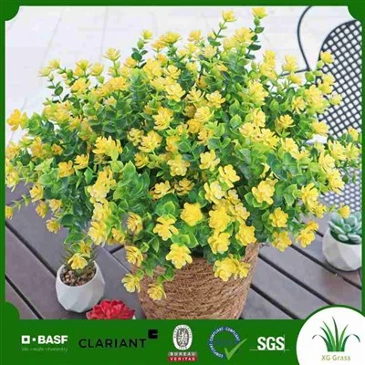 Fausses plantes traînantes