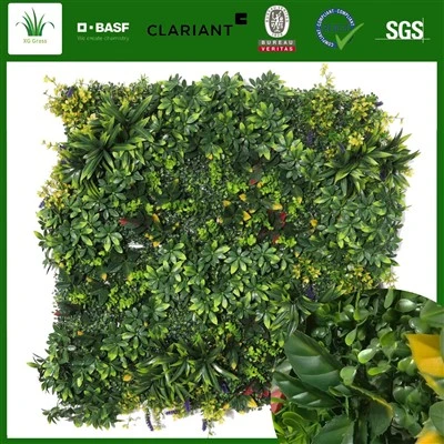 Mur de la plante extérieure