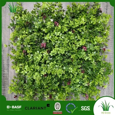 Plantes de jardin verticales d'intérieur