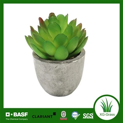 Xingu Faux succulentes réalistes