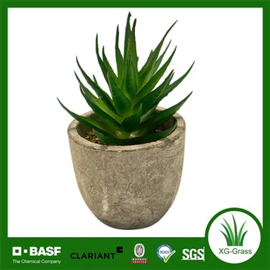 Xingu Des accents de maison succulents uniques pour améliorer votre décor